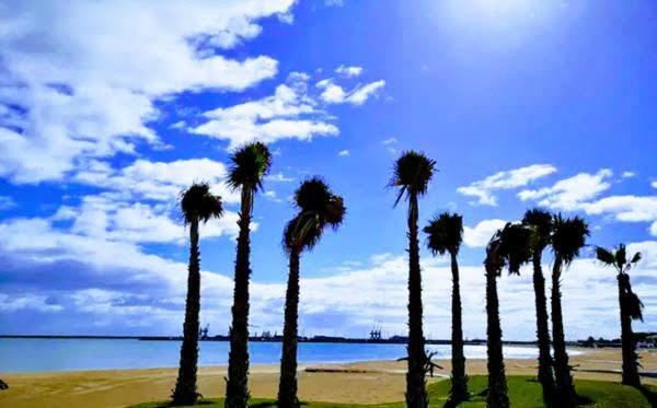 Atico Con Piscina Y Vistas Al Mar Habitat Litoral Διαμέρισμα Μάλαγα Εξωτερικό φωτογραφία